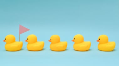 data ducks